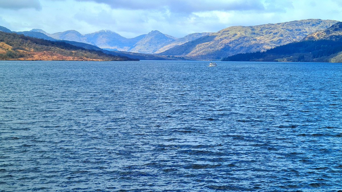 This Is My Glasgow tweet media