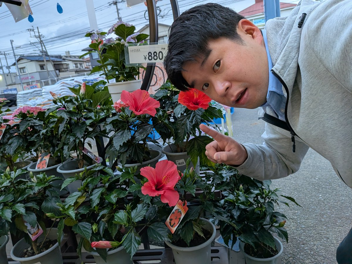 のり君🗾🇯🇵🐡🧸❤🌸🧸🍒🏁🚗📝⌚🥼⚾️🎣 tweet media