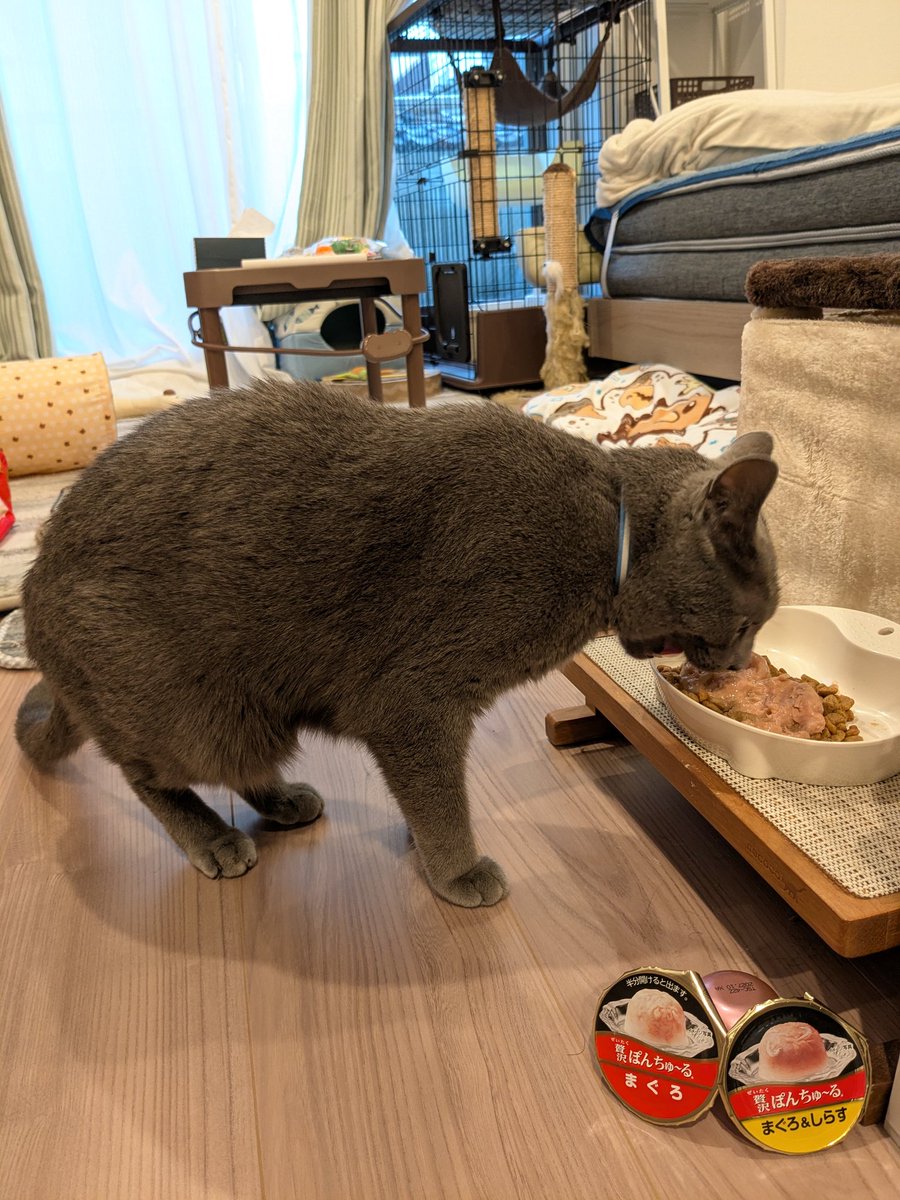 ろく tweet media