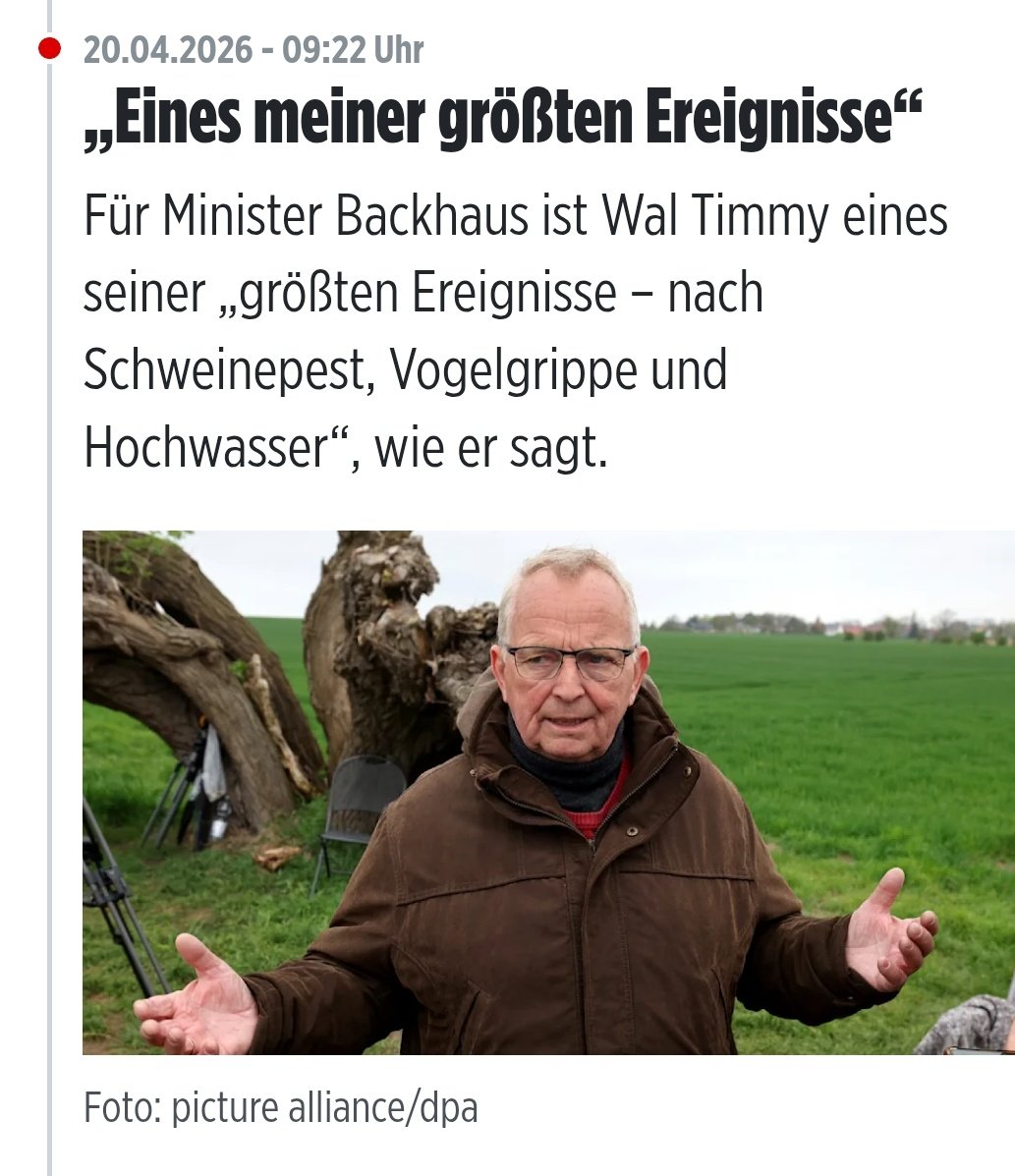 🏖 C von der See 🎁 Sicherheitspaket tweet media