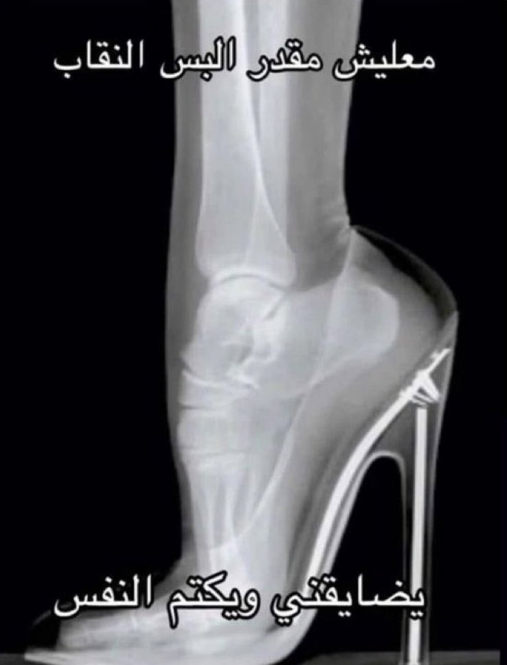 ريلام الشهري tweet media