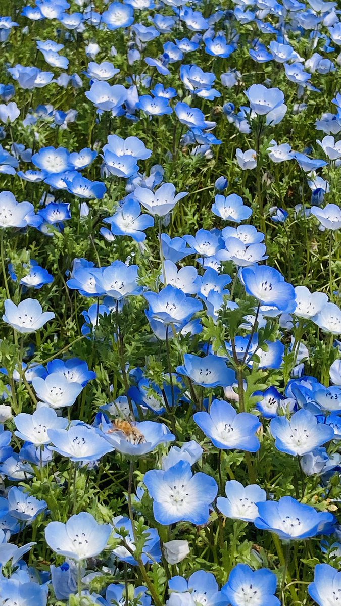 𝕌𝕋𝕊𝕌𝕂𝕀ℕ tweet media