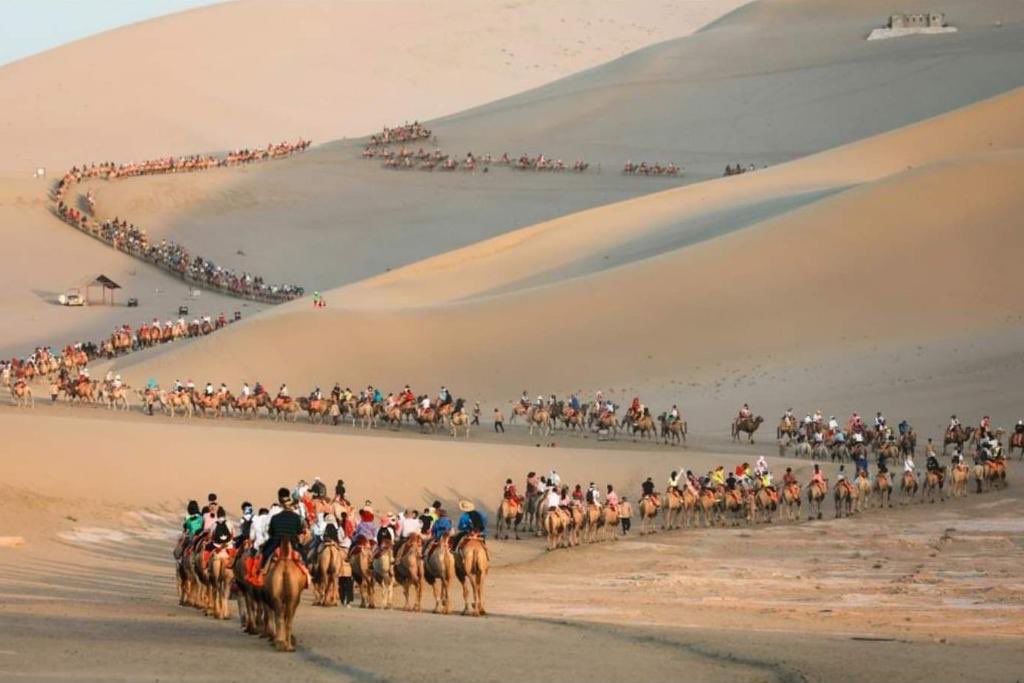 عُمر دافنشي tweet media