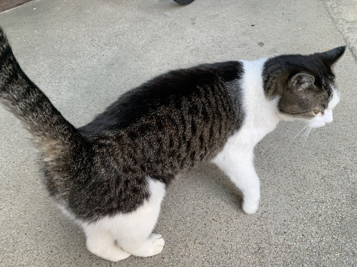 むっちょ@Finish it tweet media