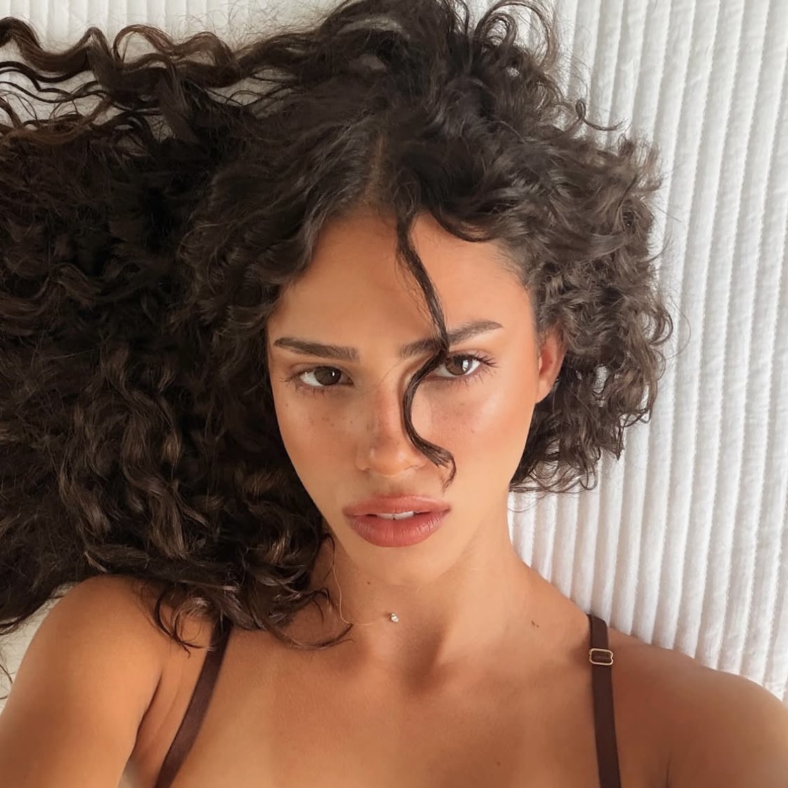 Vespertine tweet media