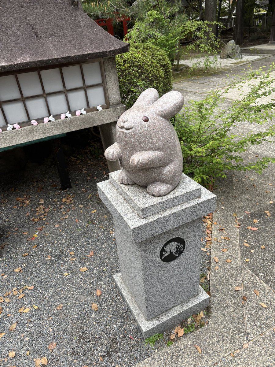 岡山　甫　(おかやま　はじめ) tweet media