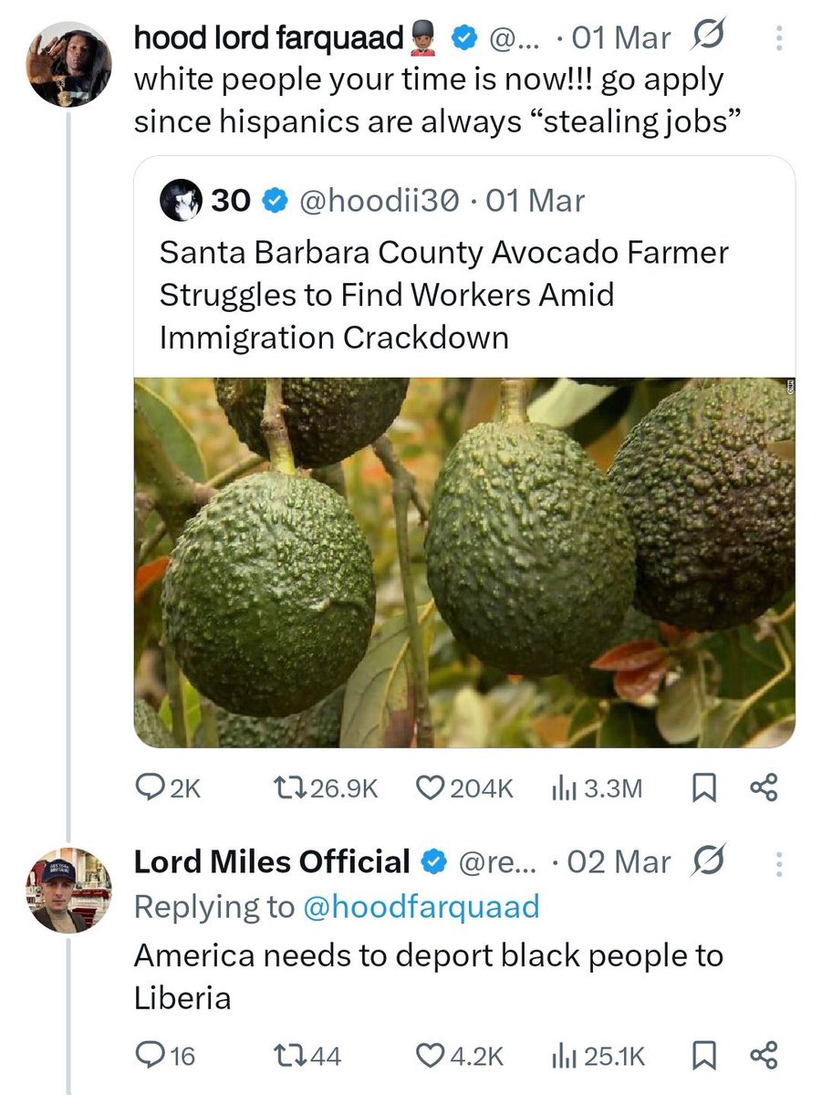 Nononsense tweet media