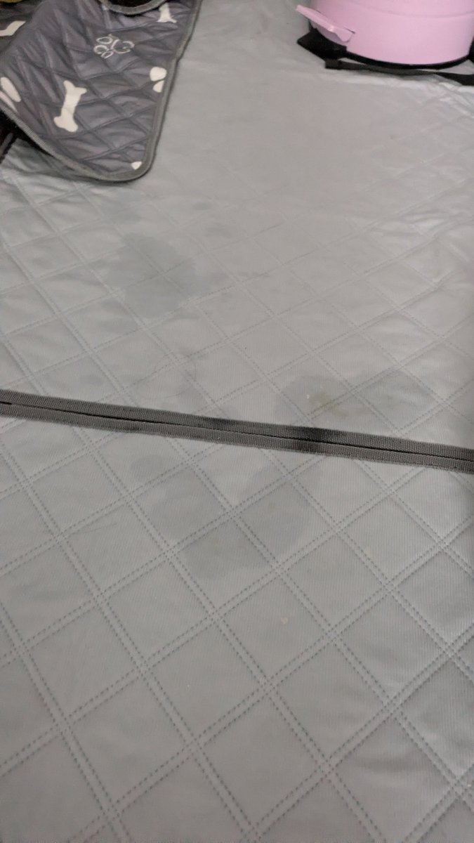 たね&隊長 tweet media