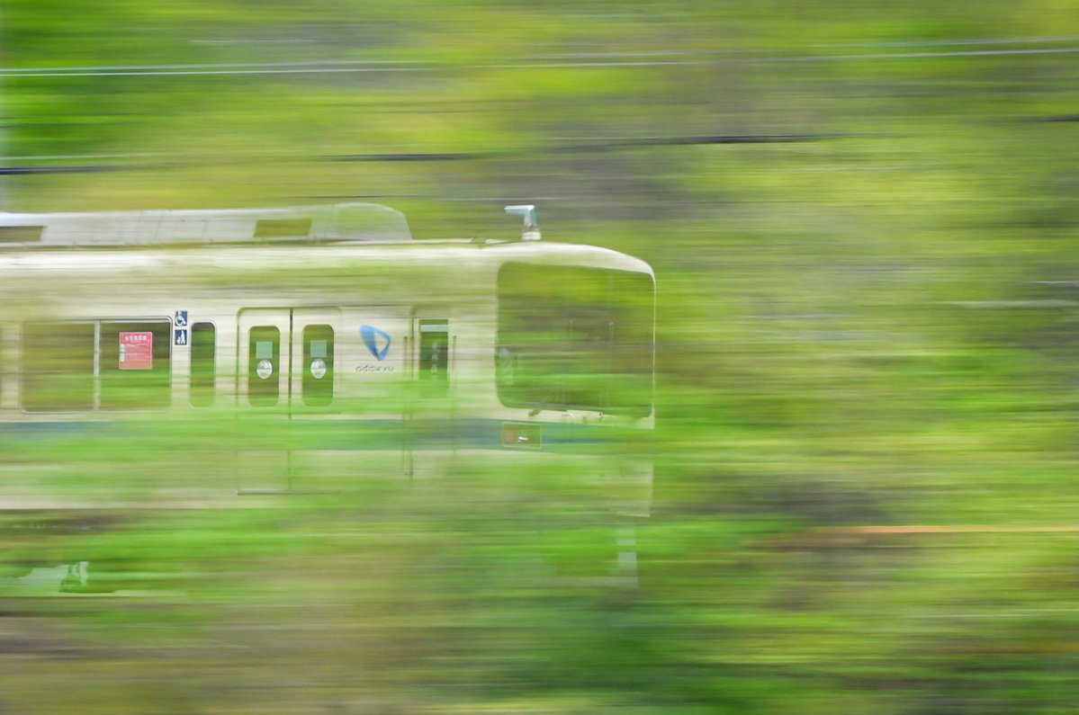 「8000形 新緑流し」

新緑に映える小田急のアイボリー。

2026.4