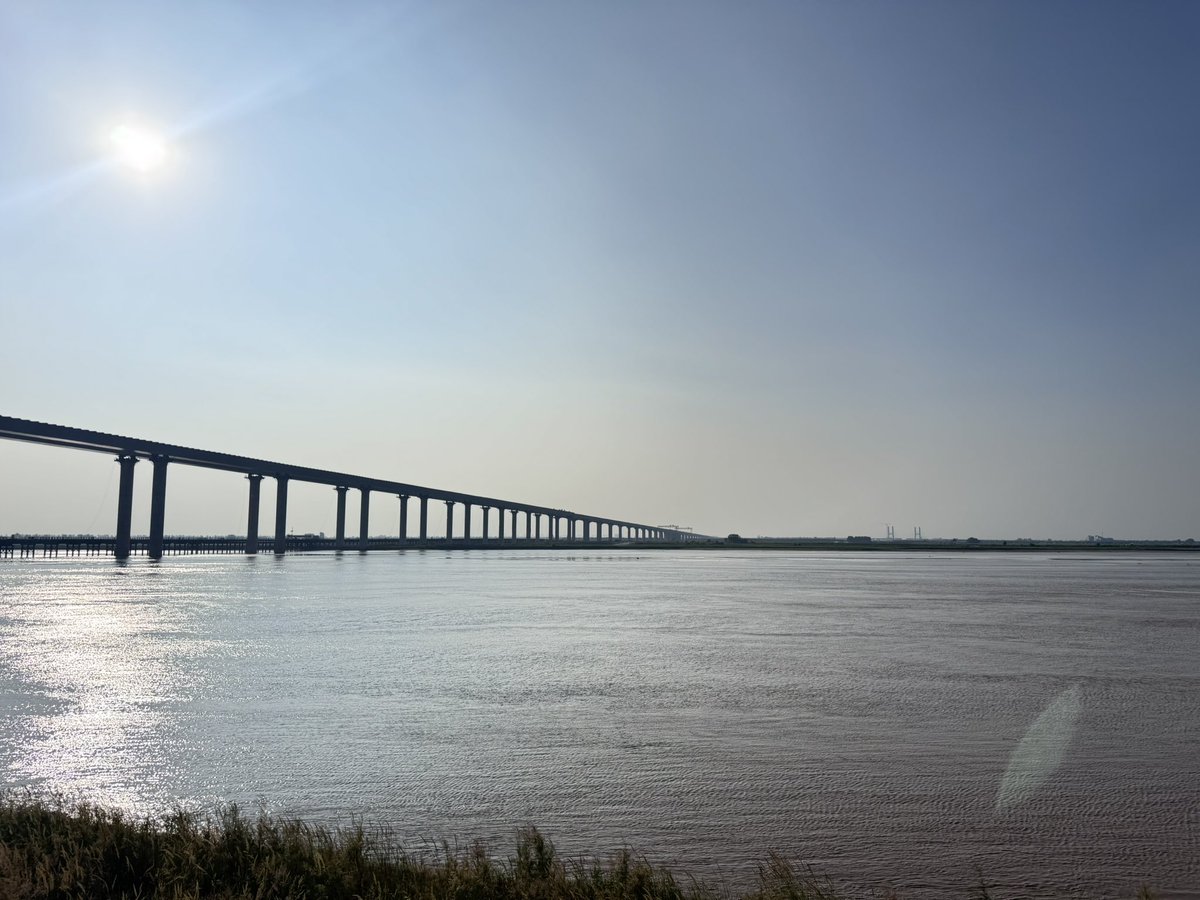 Мандарваа tweet media