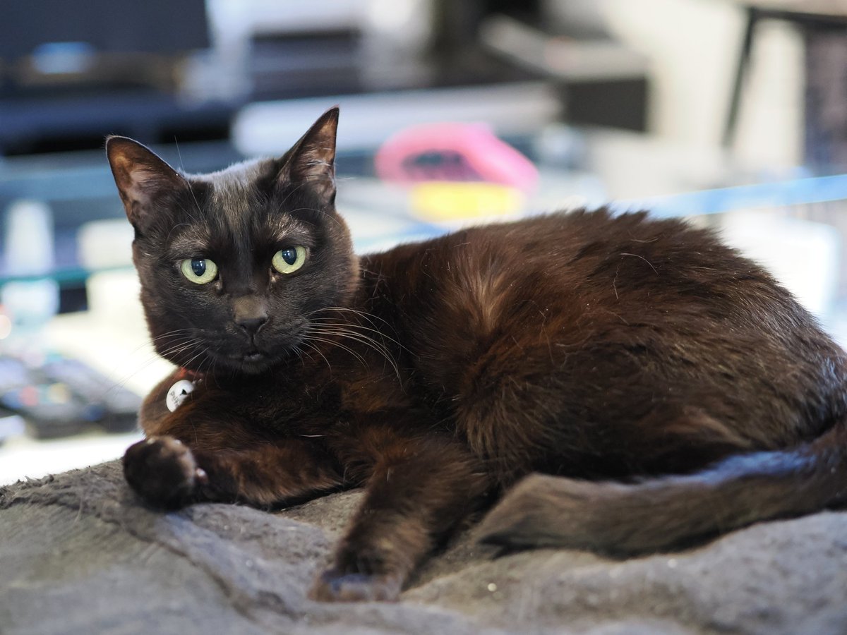 ぴっ太 ⍨⃝︎ tweet media