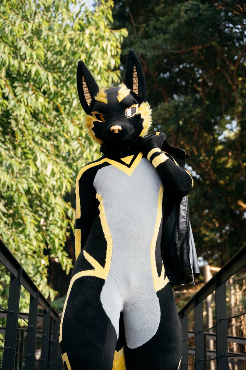 阿努比斯Anubis 🐺 furrydance ~♪ tweet media