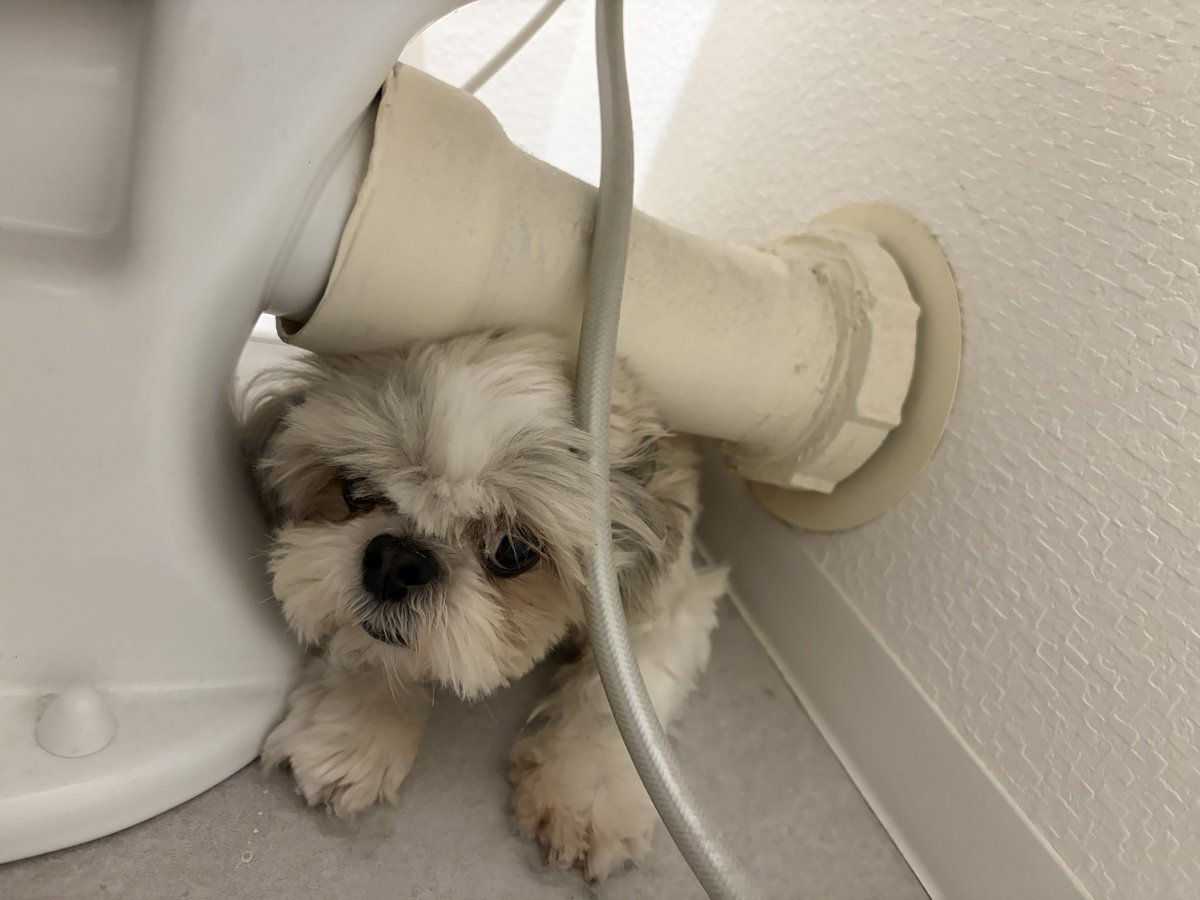 やきそぱパン🍞 tweet media