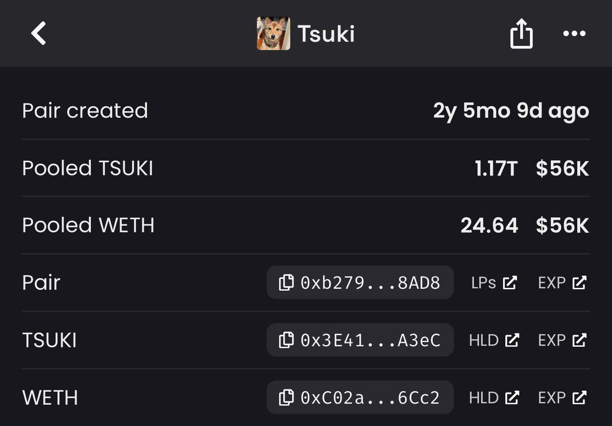 Mr. Whale tweet media