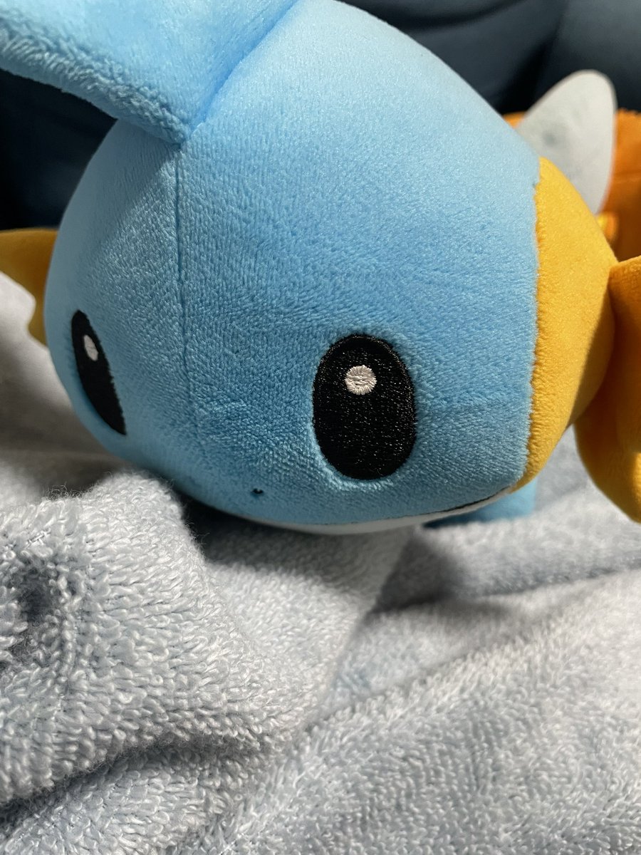 ｡.ʚゆいちむɞ .｡ tweet media