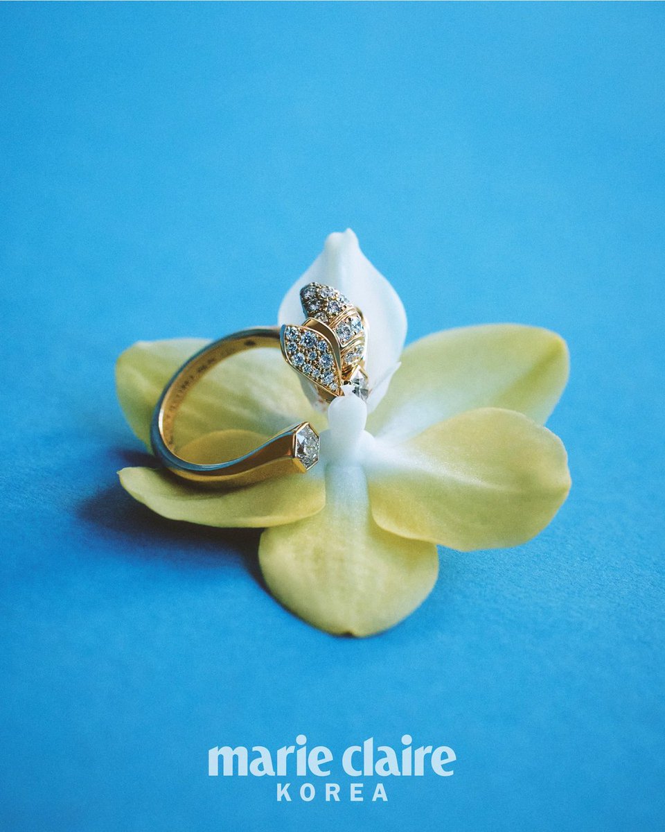 𝐿𝑖𝑎 𝐹𝑒𝑣𝑣𝑎 ⛔🏁 tweet media