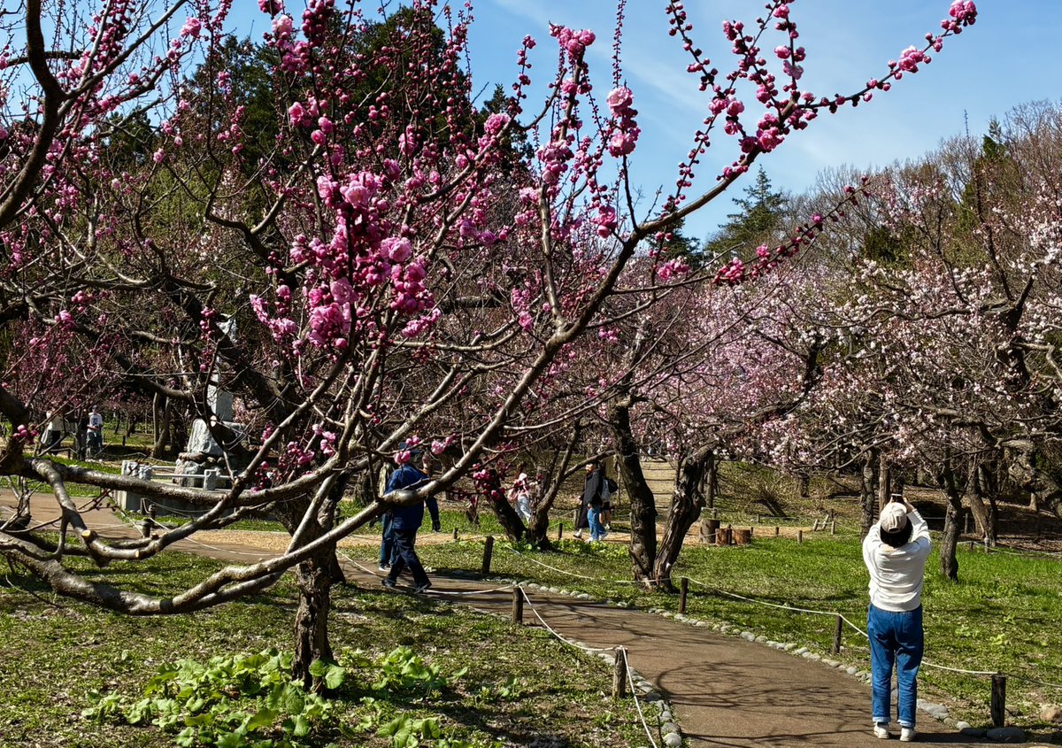 さっぽろ１０区（トーク） tweet media
