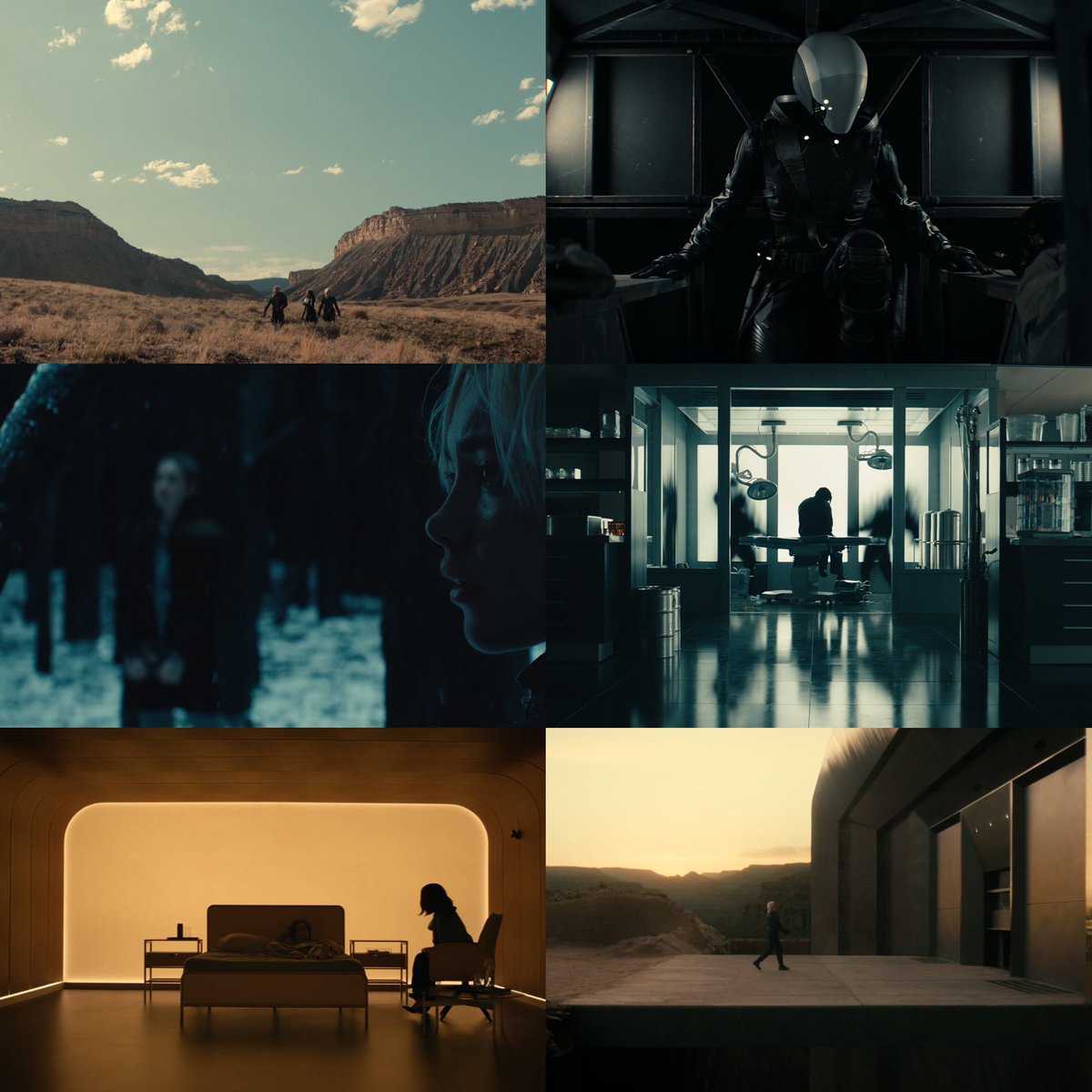 Mandevil tweet media