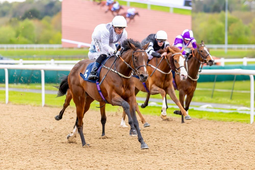 Wolverhampton Races tweet media