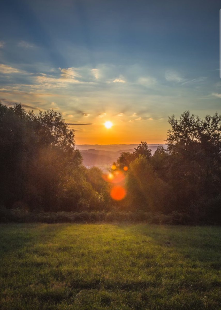 Maya ♛ HQ tweet media