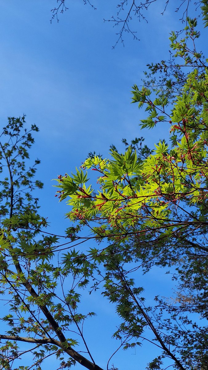 -ひでたけ- hidetake minami ☺️🍀 tweet media