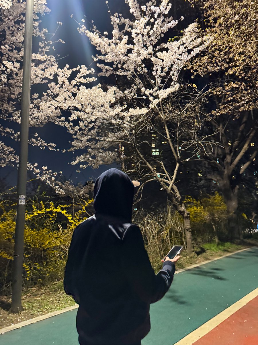 넌 나의 별 ☪︎ tweet media