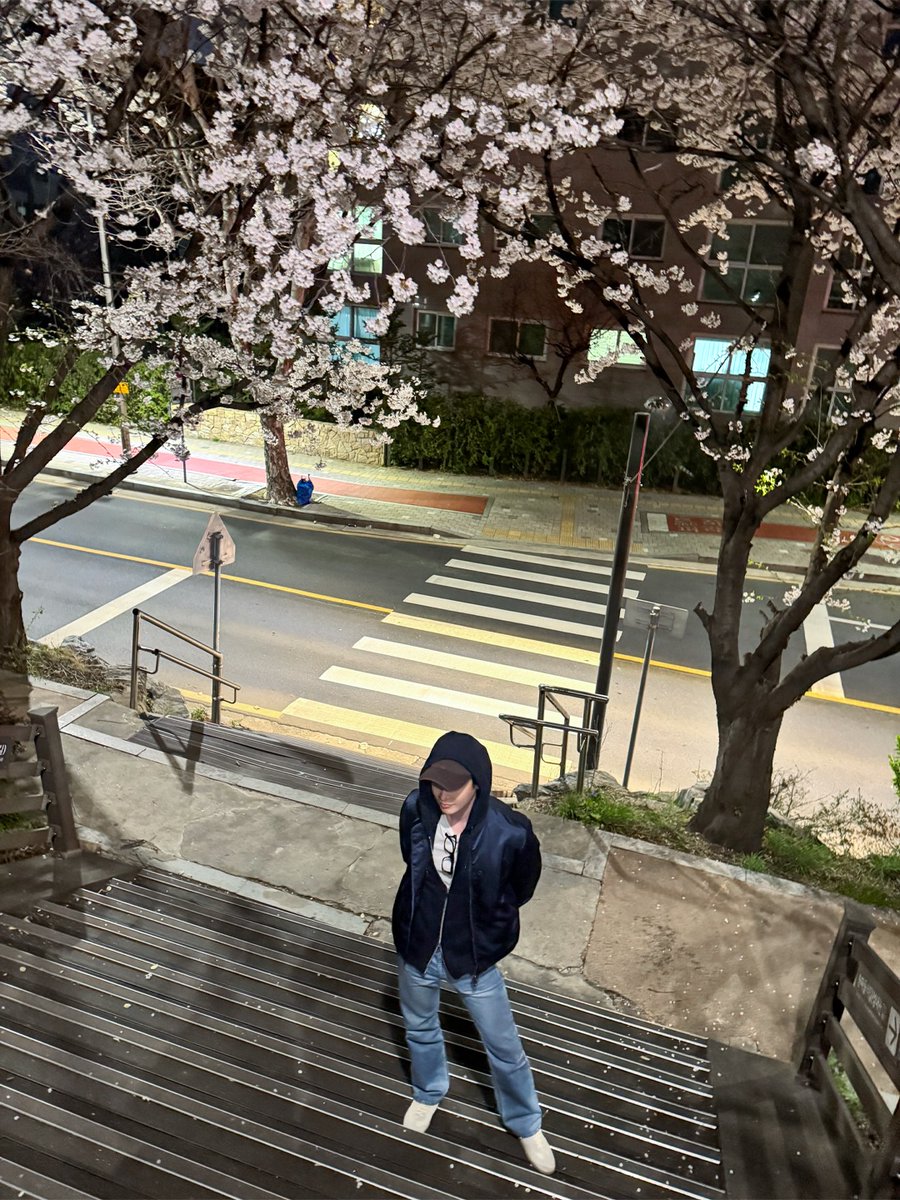 넌 나의 별 ☪︎ tweet media