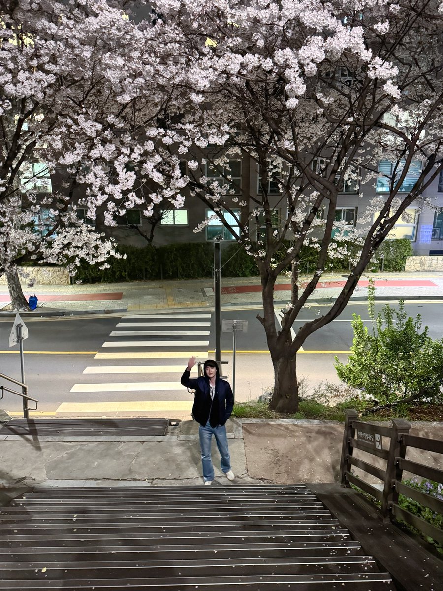 넌 나의 별 ☪︎ tweet media