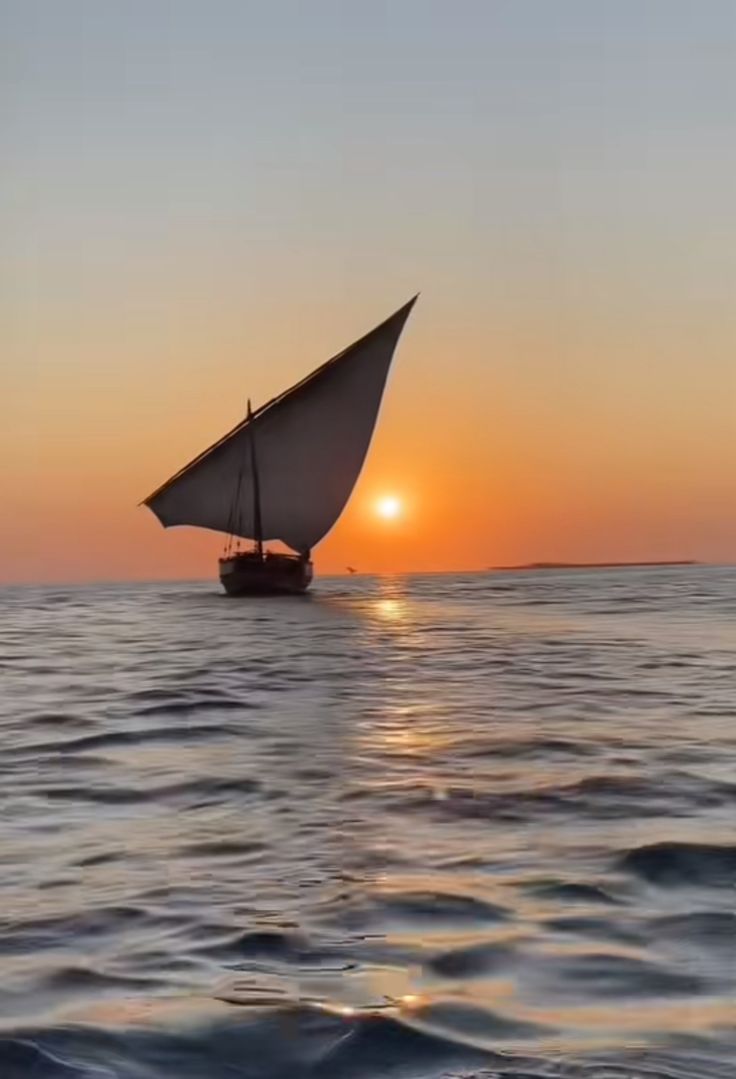 Sonia Álvaro tweet media