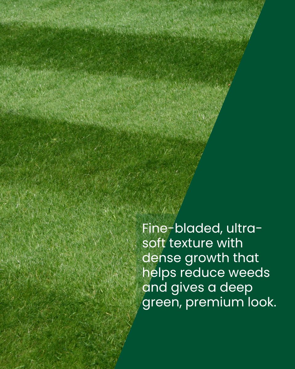 The Turfgrass Group, Inc. tweet media