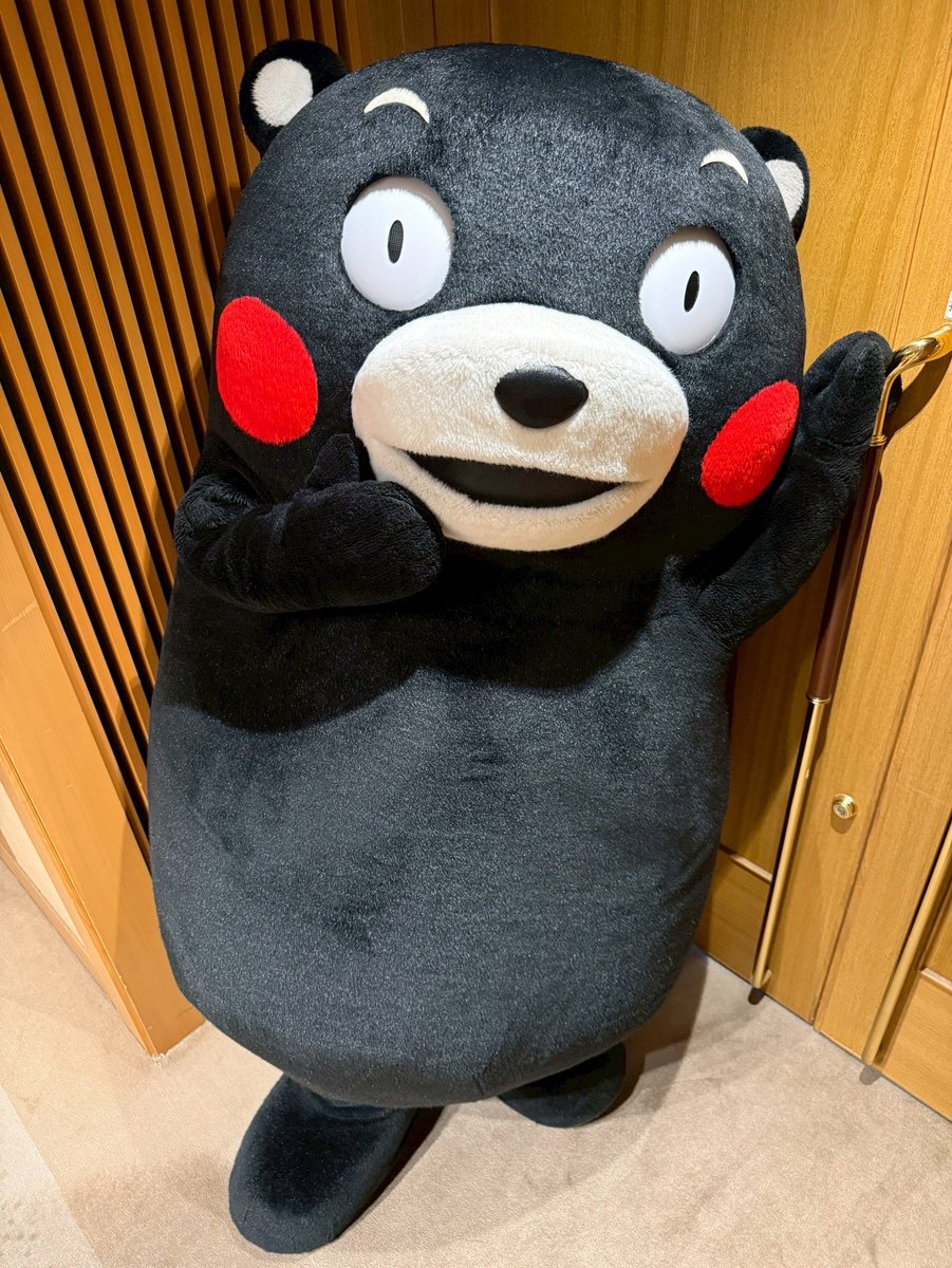 くまモン【公式】 tweet media