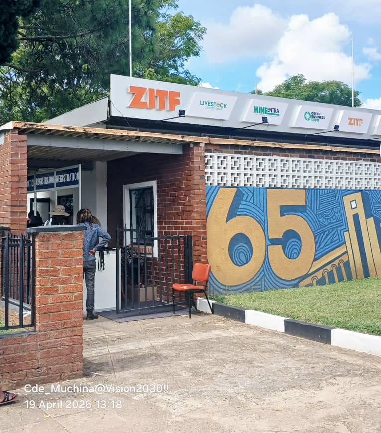 Herbert Mate tweet media