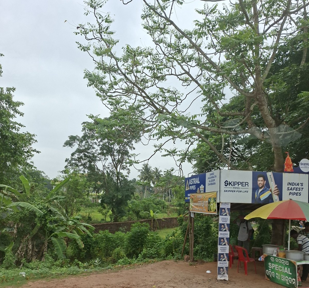 ashumeher1210's tweet image. #Miscellaneous