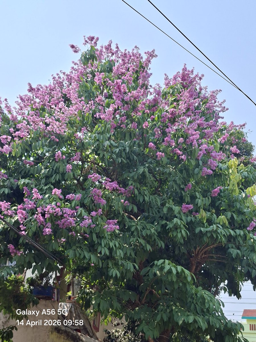 ashumeher1210's tweet image. #Miscellaneous