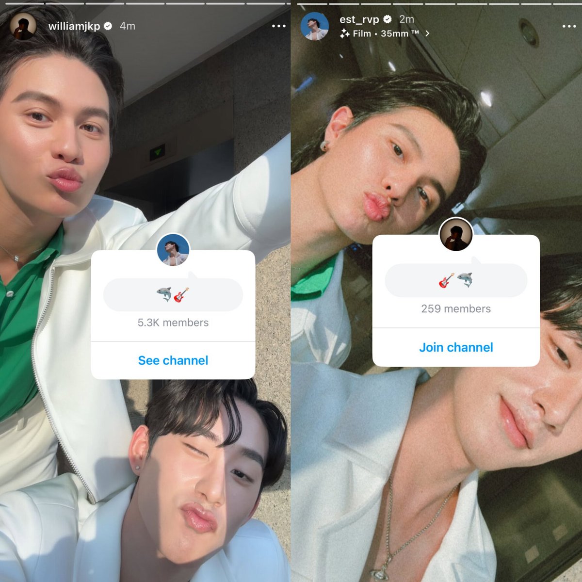 🐣𝓦𝓲𝓵𝓵𝓲𝓪𝓶𝓔𝓼𝓽 ^᪲᪲᪲ tweet media