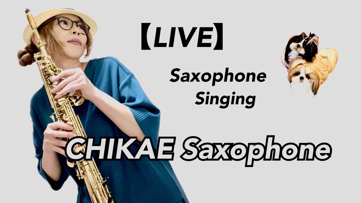 chikae_jyou's tweet image. 本日4月20日（月）のYouTube LIVEは延期ということになりました。
申し訳ございません🙇‍♂️

また予定決まりましたらこちらのXにもご連絡致します。

引き続き宜しくお願い致します🎷👱‍♀️🐶

Pure Pure〜♪

#チカエ嬢
#saxophone
#saxplayer 
#singersongwriter
#CurvedSopranoSax