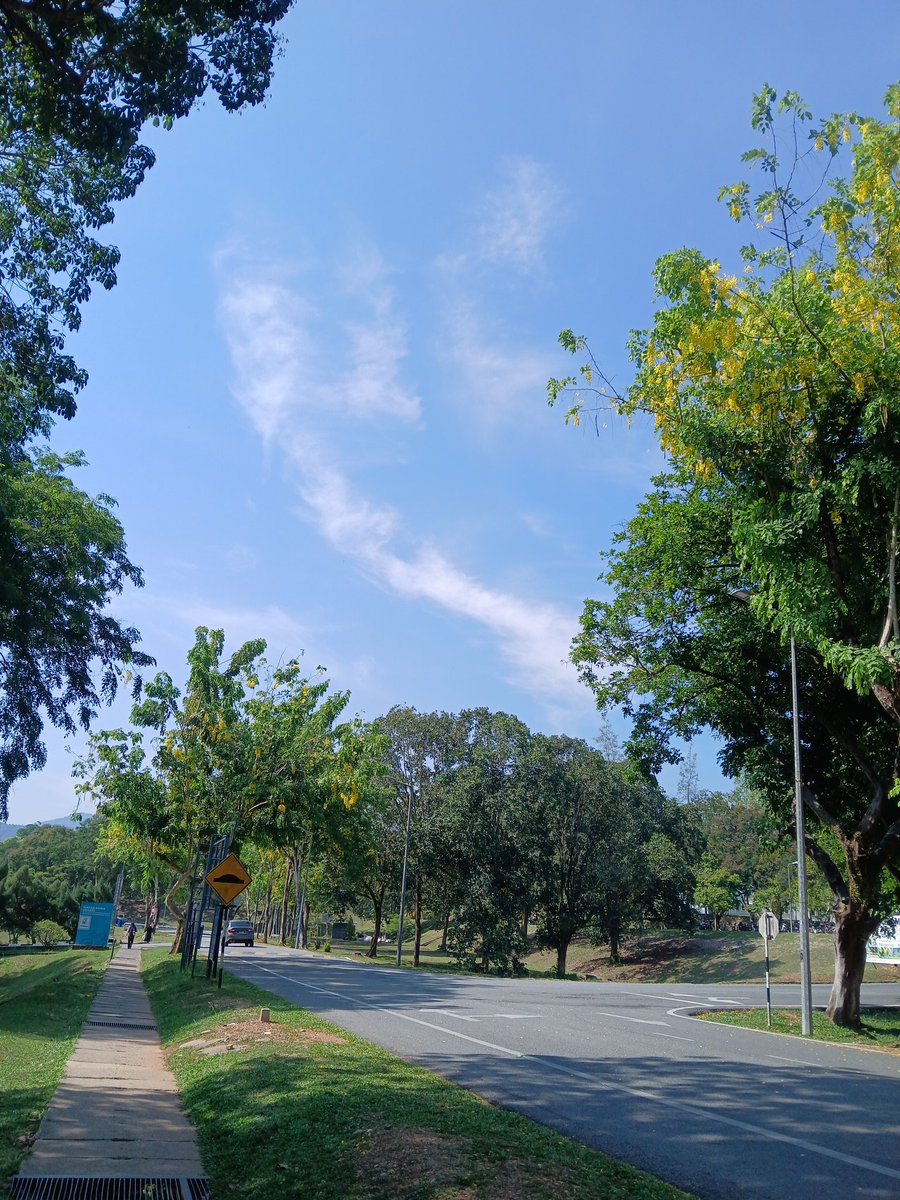 miyu on hiatus tweet media