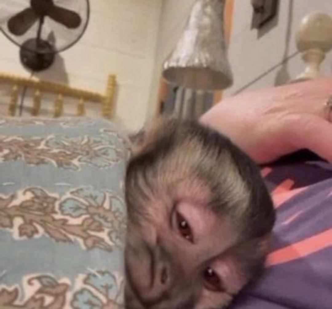 No tengo ganas de afrontar esta semana: