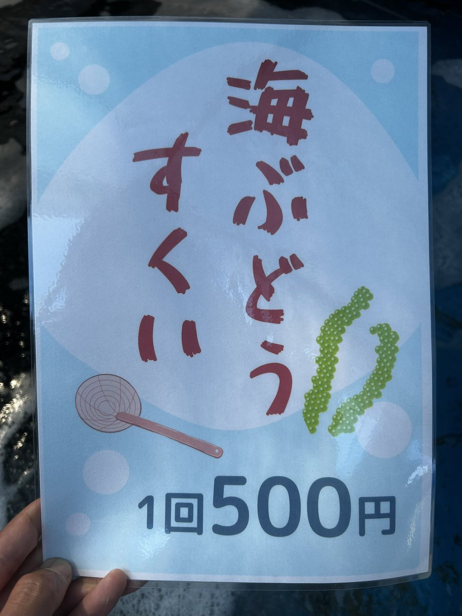 さかなのみかた tweet media