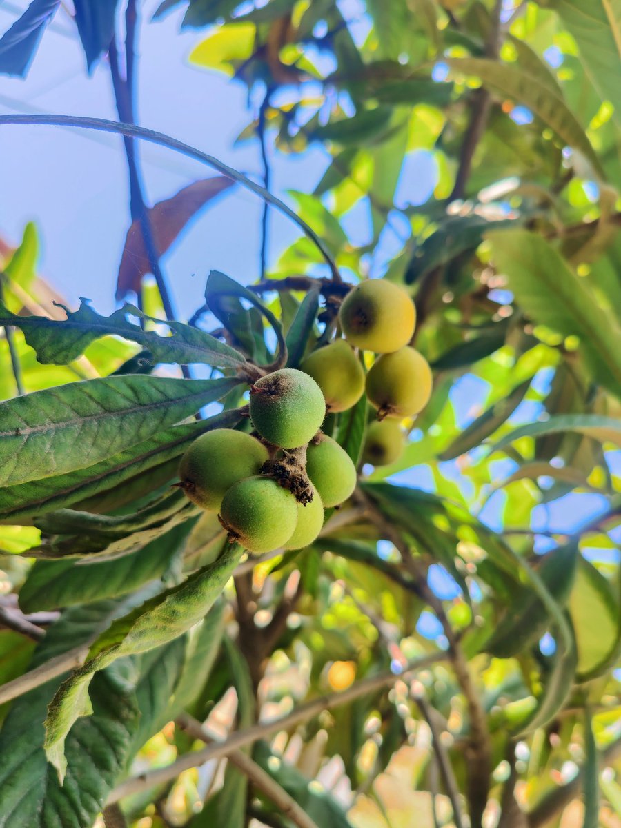 Hamza Khan tweet media