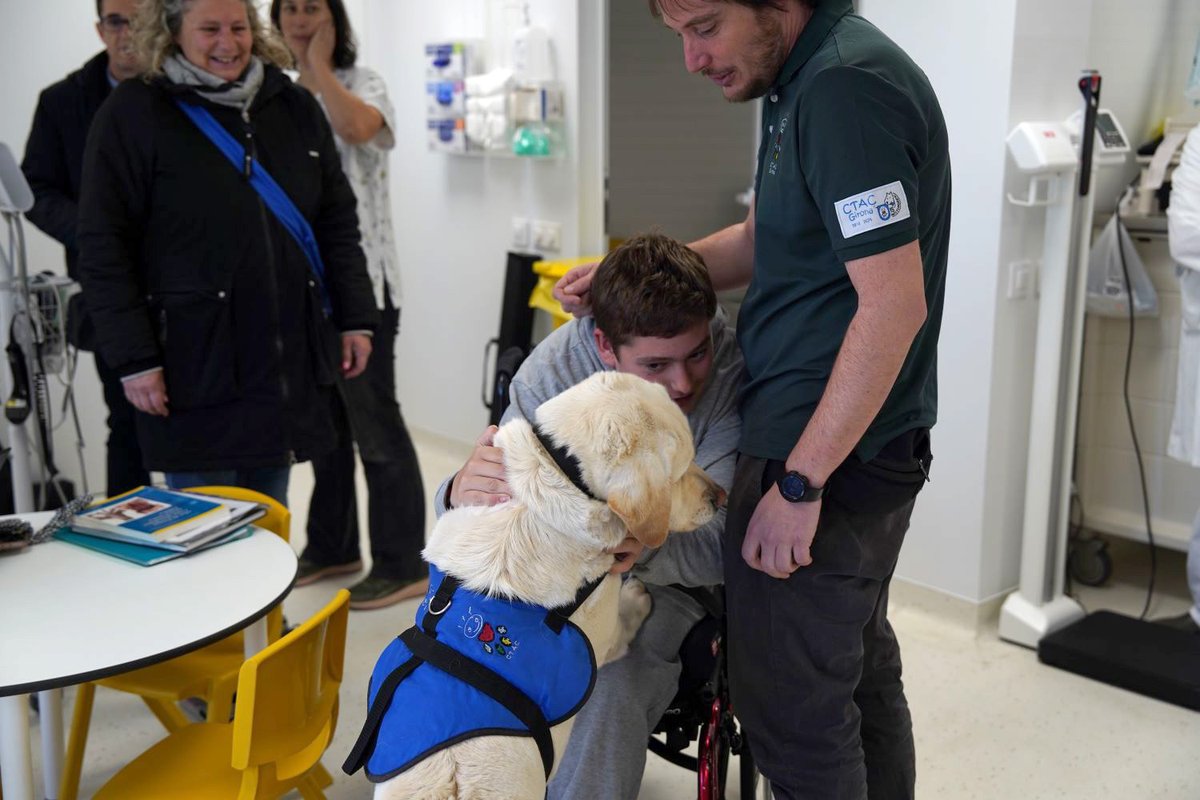 Hospital Trueta tweet media