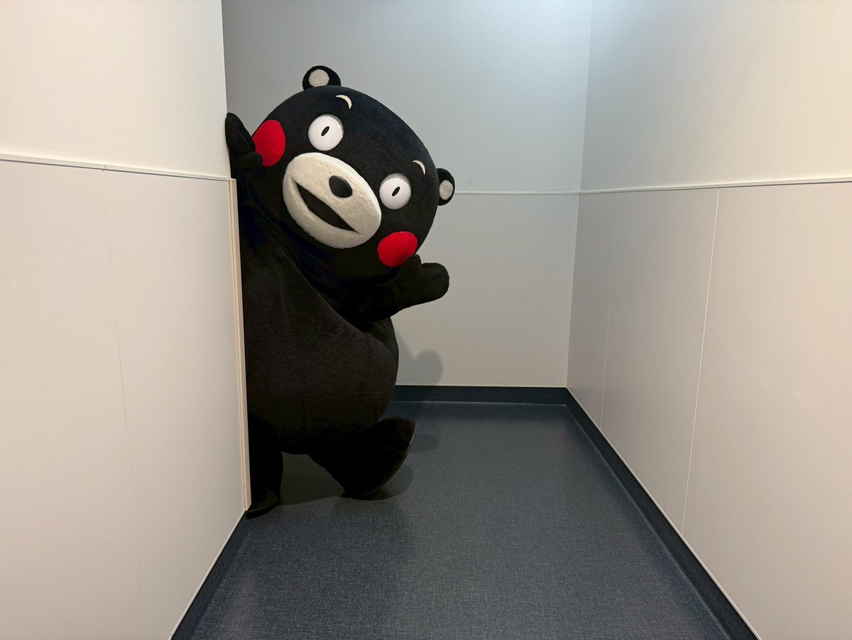 くまモン【公式】 tweet media