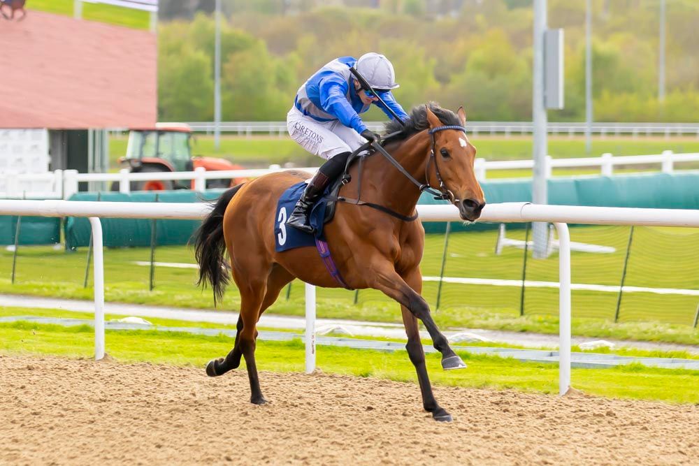 Wolverhampton Races tweet media
