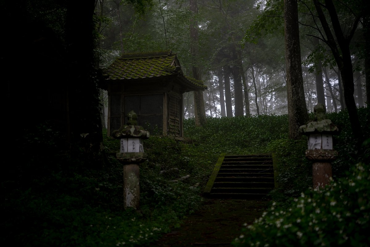 瓜生⛩️ tweet media