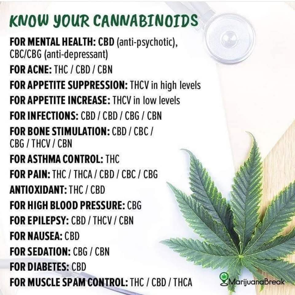 AbilityEnabler's tweet image. @Potus Good Morning Sir 🙏🏼 Today You Answer the Call to #Decriminalize #Cannabis #Hemp Please for the Million of Lives &amp;amp; Livelihoods that Deserve the Greatest Quality of Life Potential for Humanity, Safer Natural Option Over Greed/Control from Stigmatized Propaganda @WhiteHouse