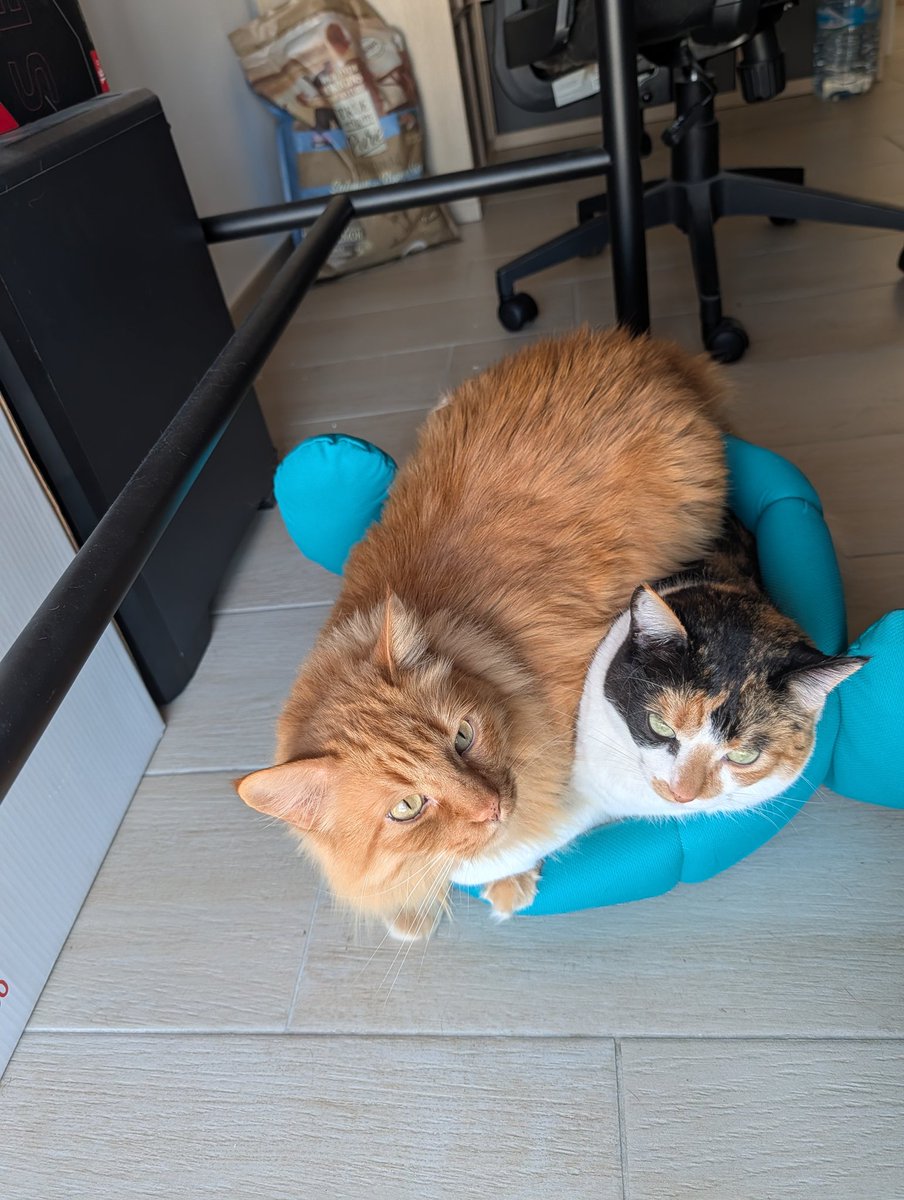 It's me, Peti tweet media