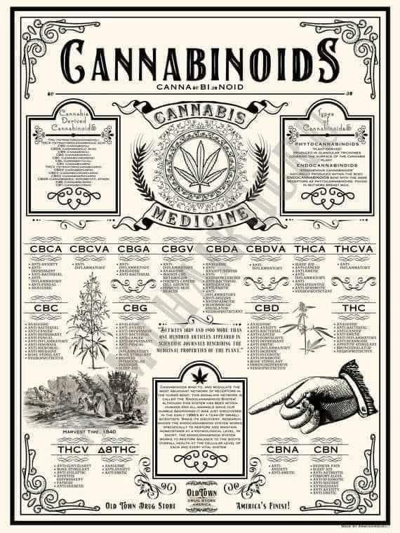 AbilityEnabler's tweet image. Not everyone will agree but do they ever in the real world, but a safer place t should t be denied by Greed over misinformation,  deliberate lies because a few industries profit from Prohibition,  Americans Know We Was Lied &amp;amp; Manipulated and by whom; We🇺🇸 Deserve Better Don't We