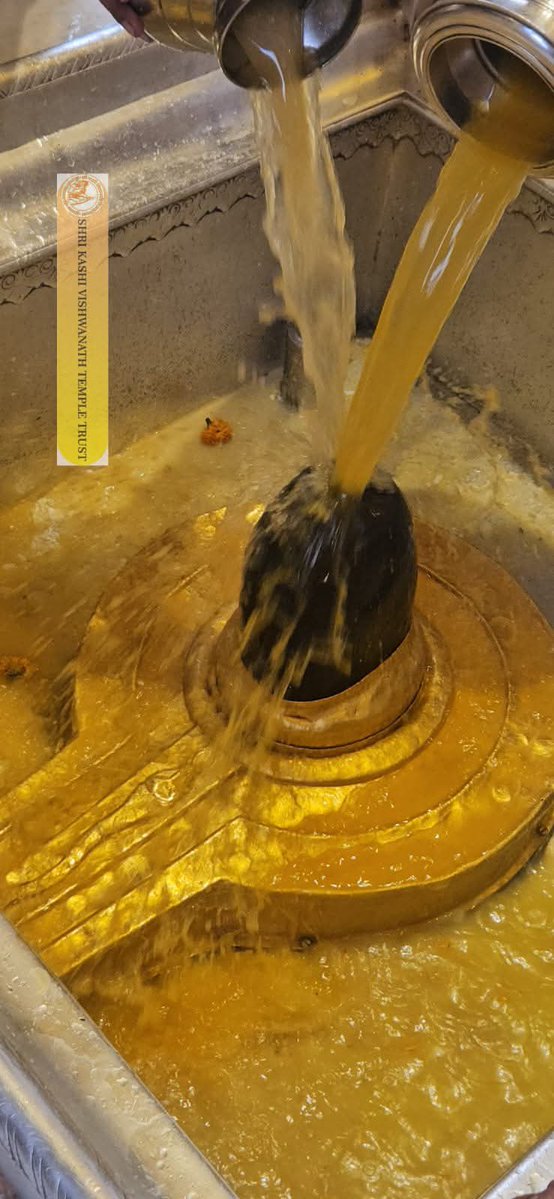 12Jyotirling's tweet image. श्री काशी विश्वनाथ ज्योतिर्लिंग जी के आज दिनांक मध्यान्ह भोग आरती के दर्शन 20.04.2026
