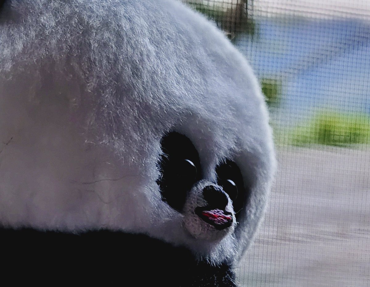 みーさ tweet media