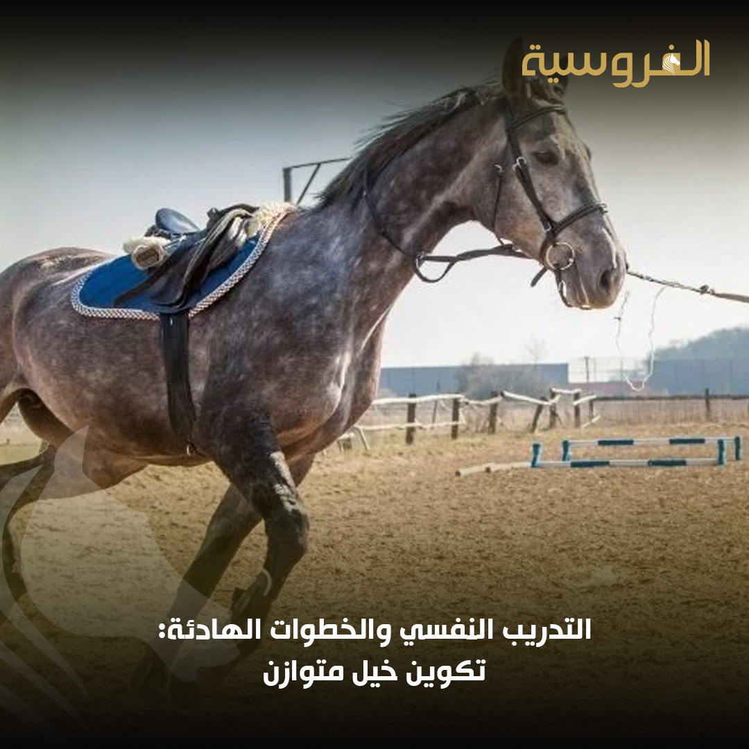 الفروسية tweet media